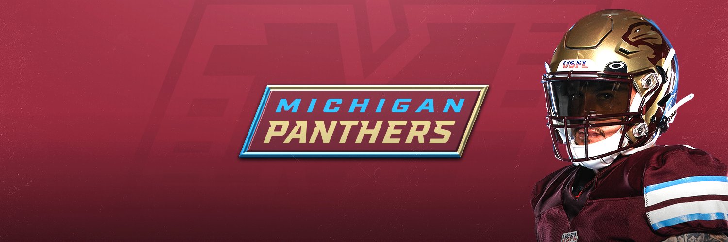 Michigan Panthers are most popular USFL team as season begins, data says 